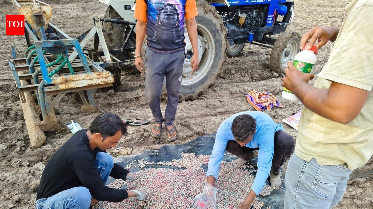 Israel-backed mini pilot farming project launched in Jhansi