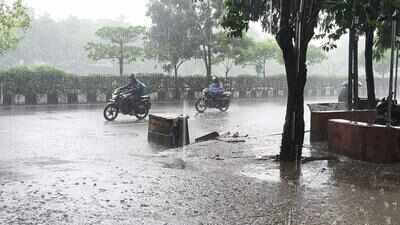 After brief lull, wet weather returns to South Gujarat