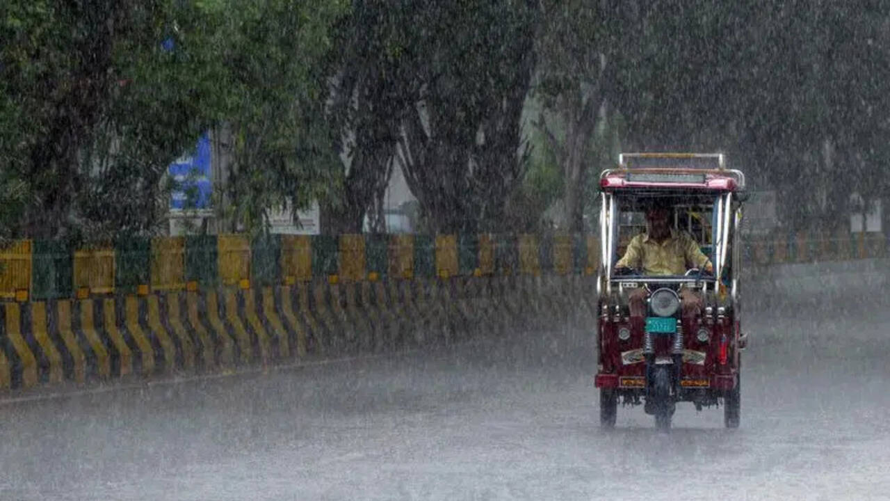Punjab logs 35% deficient rain as monsoon weakens