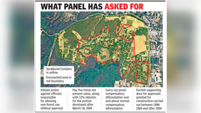 Ministry panel directs action against officers for diverting forest land at Surajkund in Faridabad