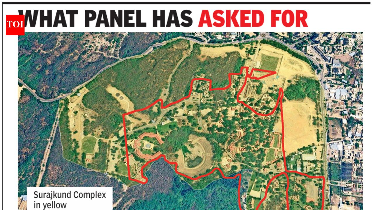 Ministry panel directs action against officers for diverting forest land at Surajkund in Faridabad