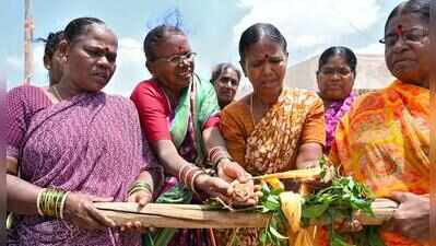 Frog processions, forest prayers: T villages’ desperate plea for rains