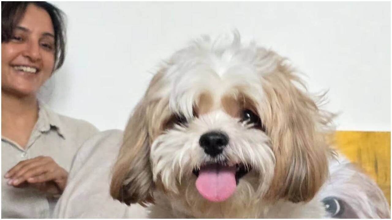 Manju Warrier gifts her pet dog a hand-painted portrait, fans call it ‘too cute’ - Watch VIDEO