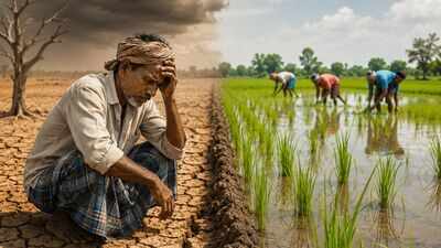 Crops wait as monsoon plays truant in Telangana