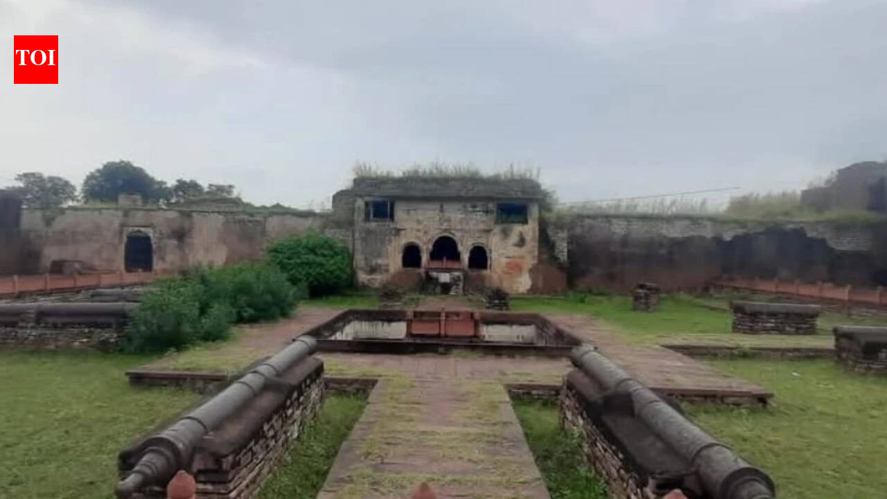 Narwar Fort cannon theft: From Mumbai to New York, MP's stolen antiquities have travelled far before
