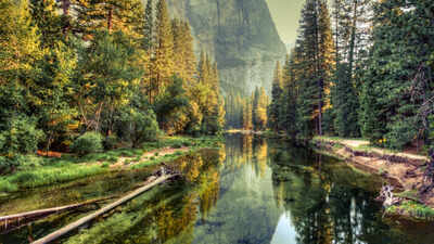 How the 'roadless rule' protects clean drinking water for 25 million Americans, new study finds