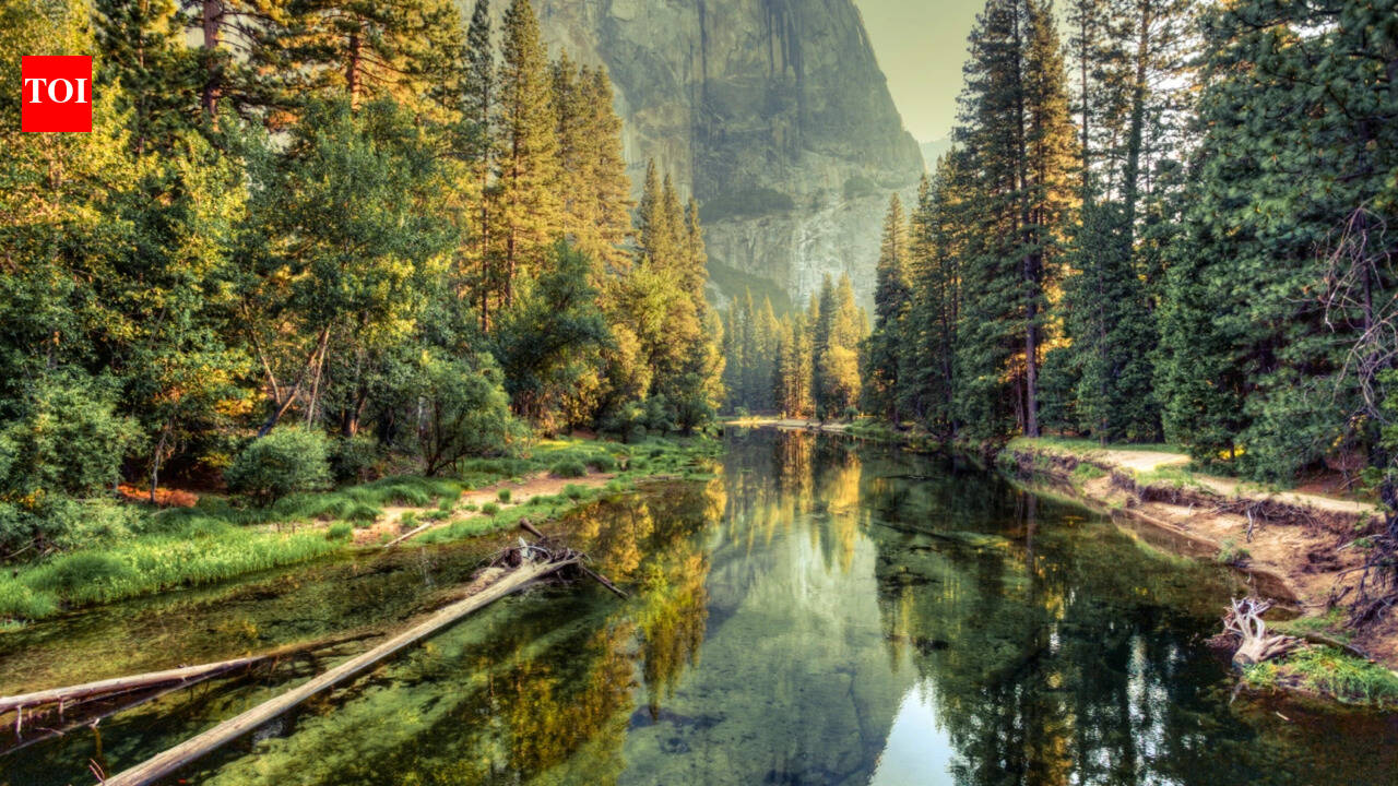 How the 'roadless rule' protects clean drinking water for 25 million Americans, new study finds