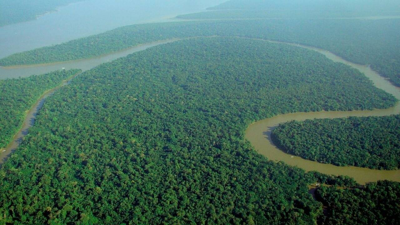 Every year, about 27.7 million tons of Saharan dust cross the Atlantic Ocean and settle on the Amazon rainforest, delivering phosphorus close to the amount the rainforest loses to runoff, meaning the world’s largest rainforest is partly fertilised by dust from the planet’s largest hot desert thousands of miles away