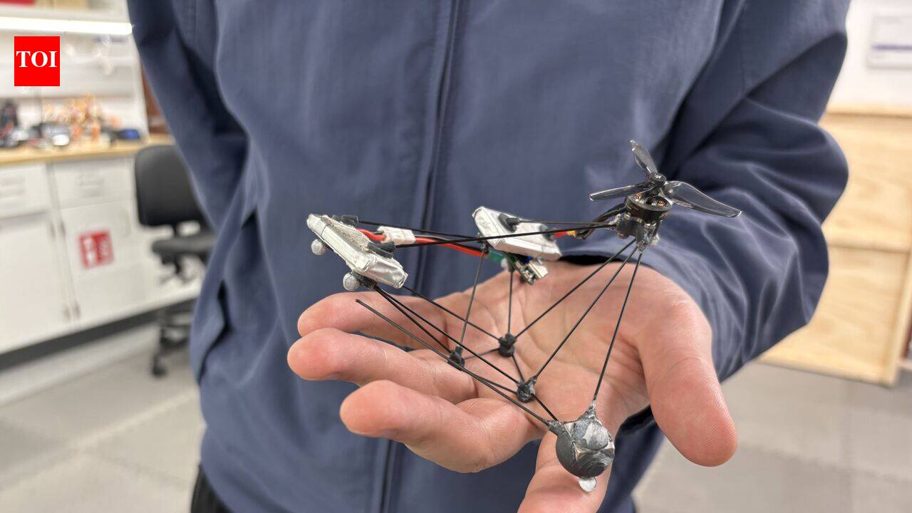 Scientists built a spinning drone that is harder for the human eye to see, and it could change how wildlife surveys and inspections are done