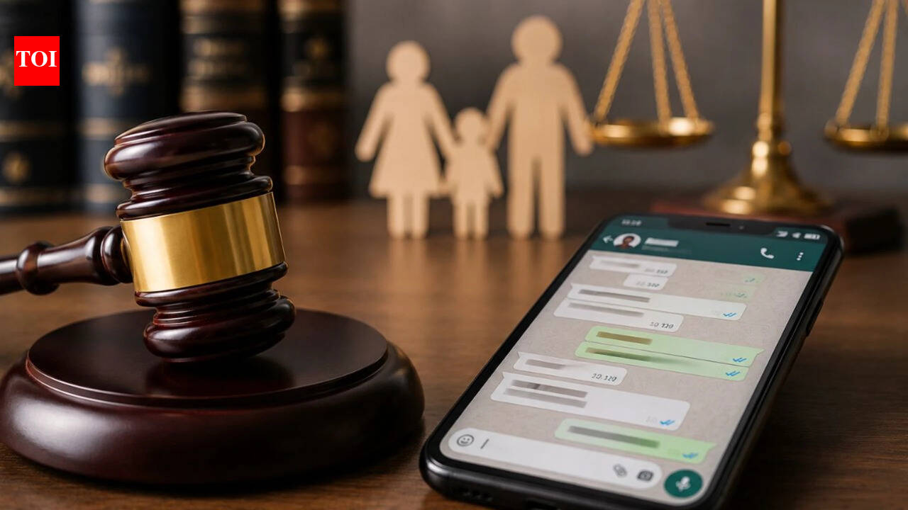 Parent can't claim privacy to block WhatsApp chats in child custody dispute: Madras HC