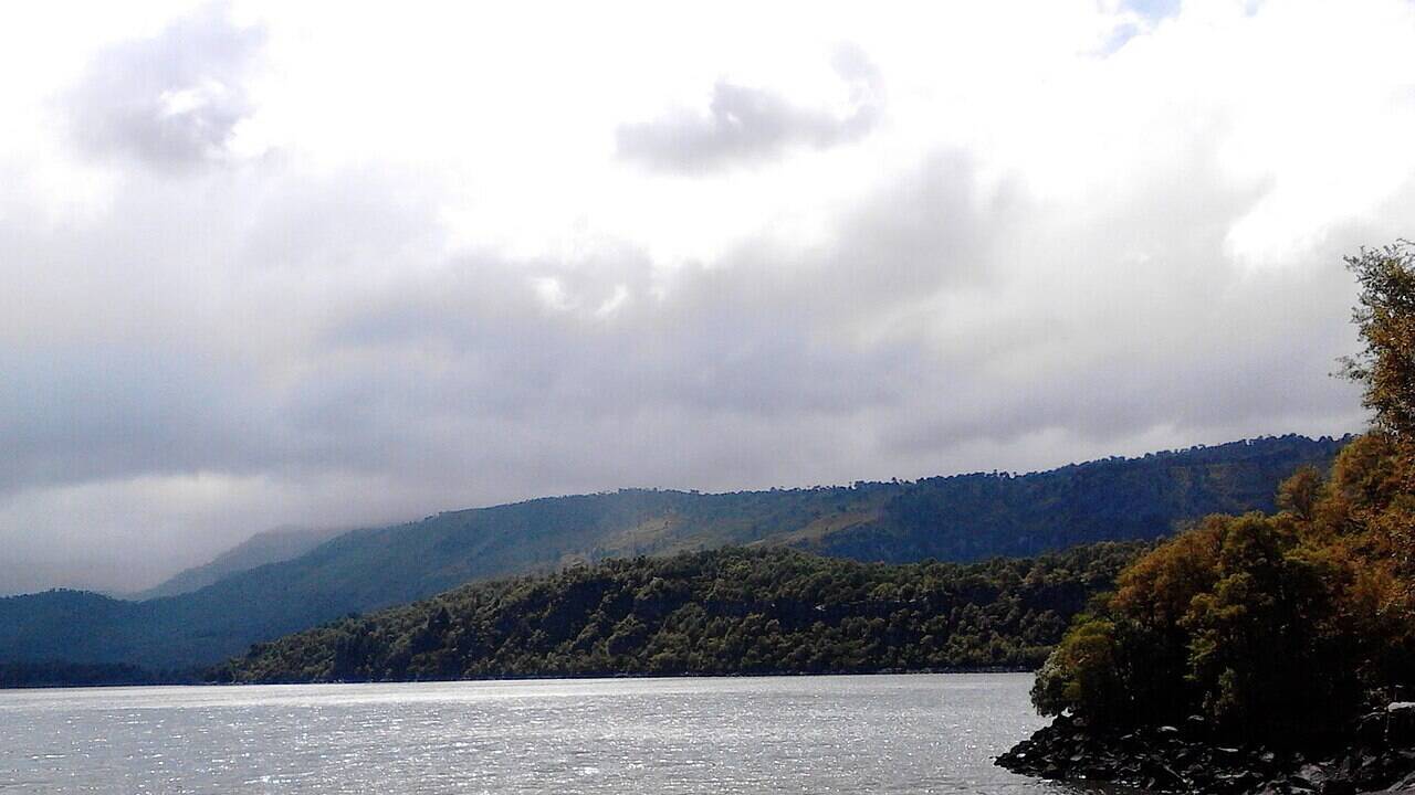 Chile transferred 217,716 hectares to Mapuche communities, but the land returns did not automatically increase forest cover, study finds