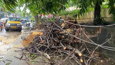 Mangaluru wakes up to heavy rains bringing relief from dry monsoon spell