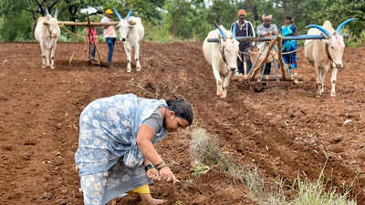 Adhik Jyeshtha, Super El Niño combo may delay Maharashtra monsoon, analysis flags higher rain deficit risk
