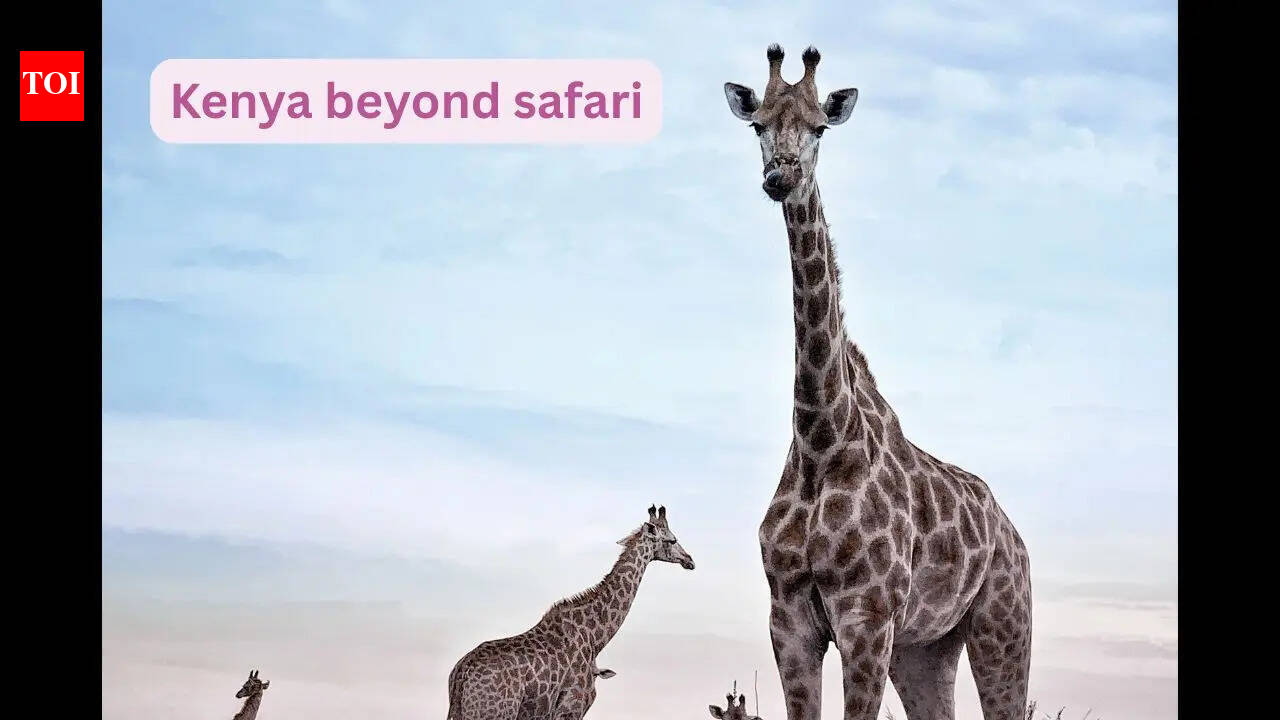 Where to stay in Kenya: 7 exceptional lodges, giraffe manors, treehouses and beach escapes