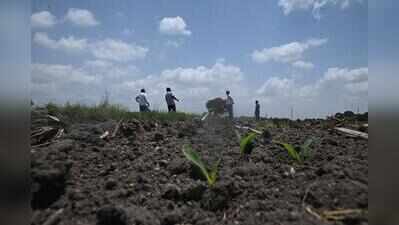 Withering crops, growing debt: Delayed monsoon pushes farmers to the brink in Telangana