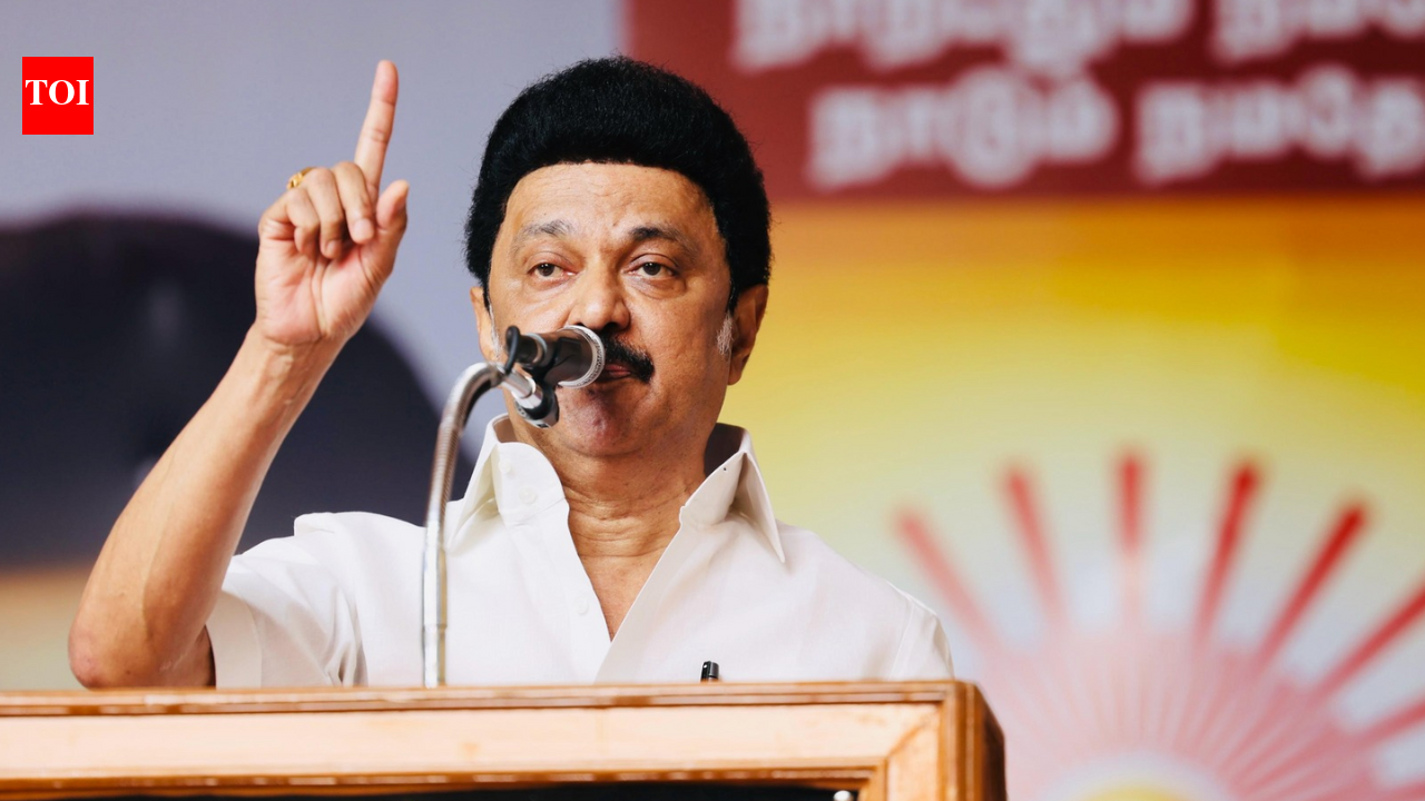 DMK open to talks on delimitation bill 'if Tamil Nadu interests not hurt'