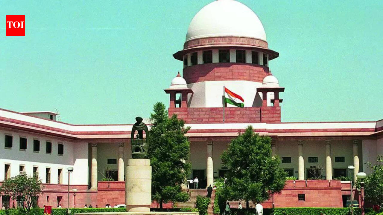 No doctor would refuse treatment to brutally sexually assaulted child: Supreme Court