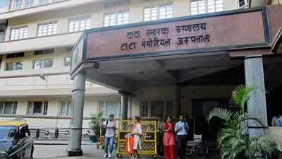 Tata Memorial Hospital's cancer study on papaya boosting platelets under lens