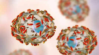 Explosive stomach infection hits US, how the parasite Cyclospora makes people unwell and what researchers know so far about its source