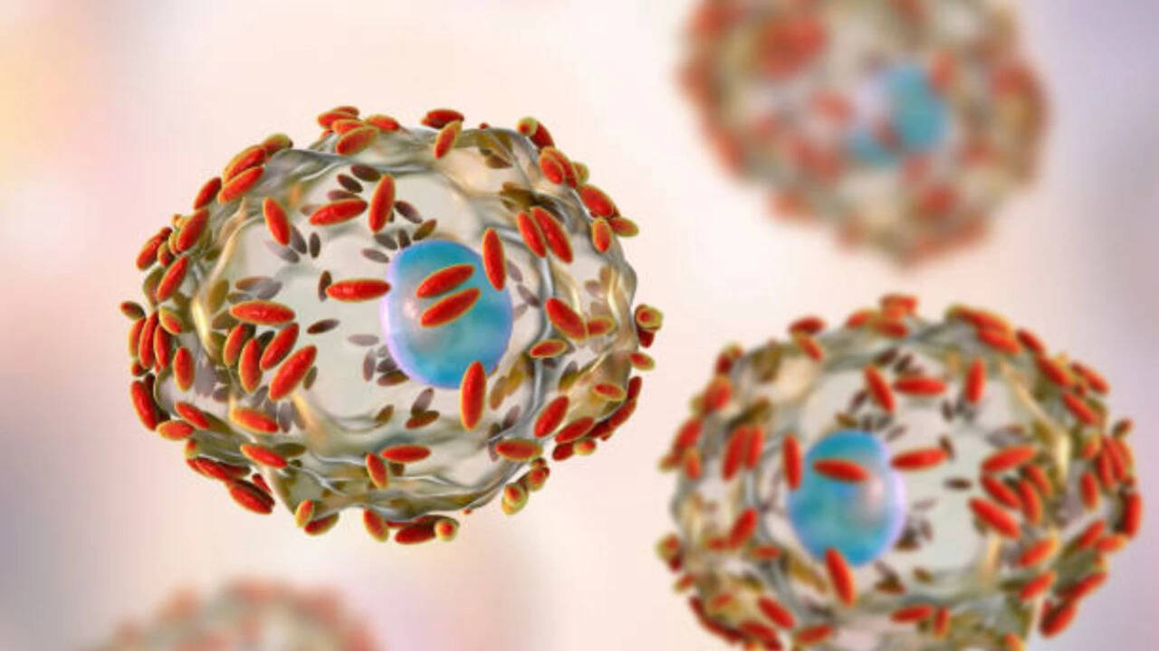 Cyclospora outbreak in US: What to know about the explosive stomach infection and its source