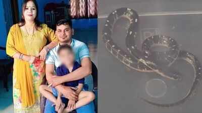 'Love affair, snakebite, Rs 20 lakh insurance': How UP woman, lover plotted husband's murder; 4 arrested