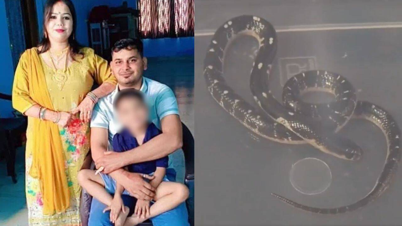 'Affair, snakebite, Rs 20L insurance': How UP woman, lover plotted husband's murder