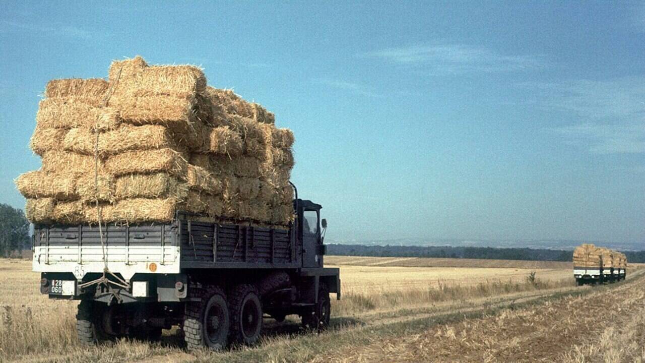 In France’s severe drought of 1976, the country launched a nationwide straw operation, moving about 60,000 tonnes by train to farmers whose livestock were running out of feed