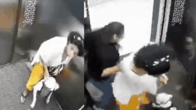 Dog turns aggressive, lunges at girls inside lift in Mumbai building; CCTV shows owner struggling to restrain pet