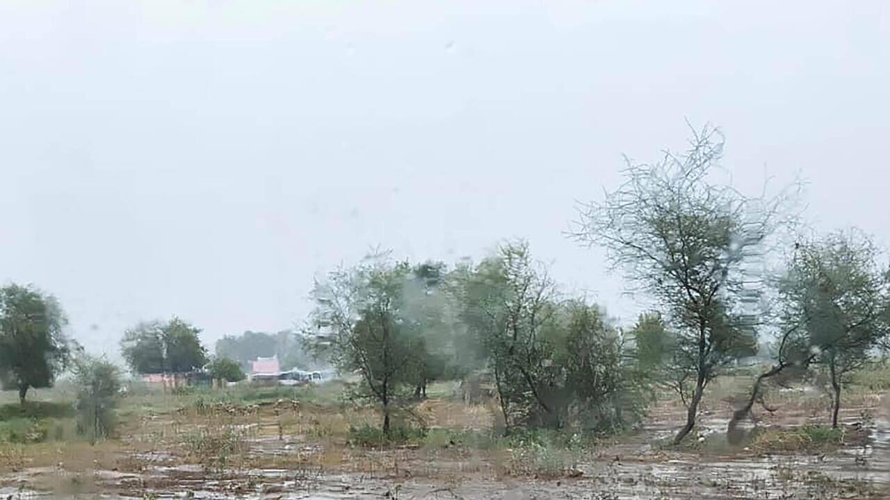 First Namo Van to come up on reclaimed dumping site in Gurgaon
