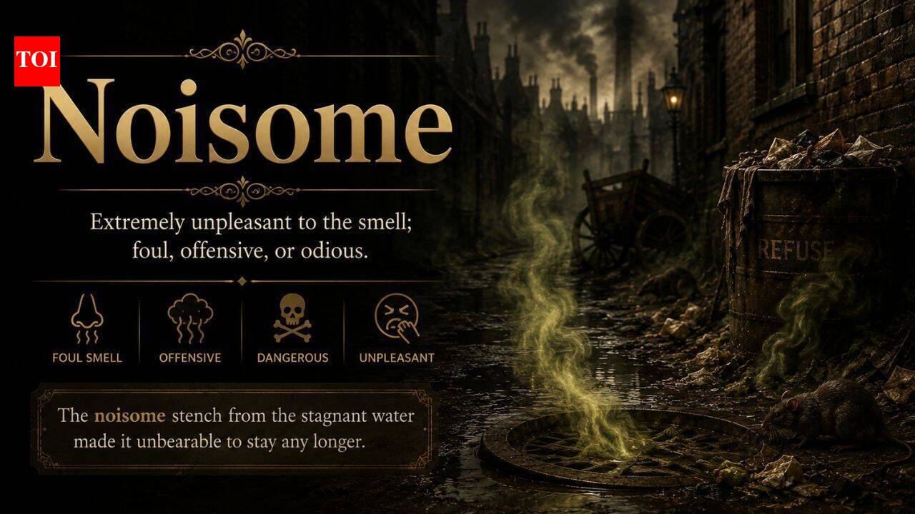Word of the day: Noisome