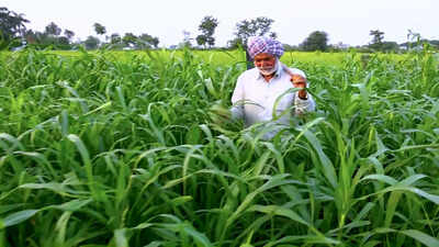Farm loans with less paperwork? Centre explores digital land record link