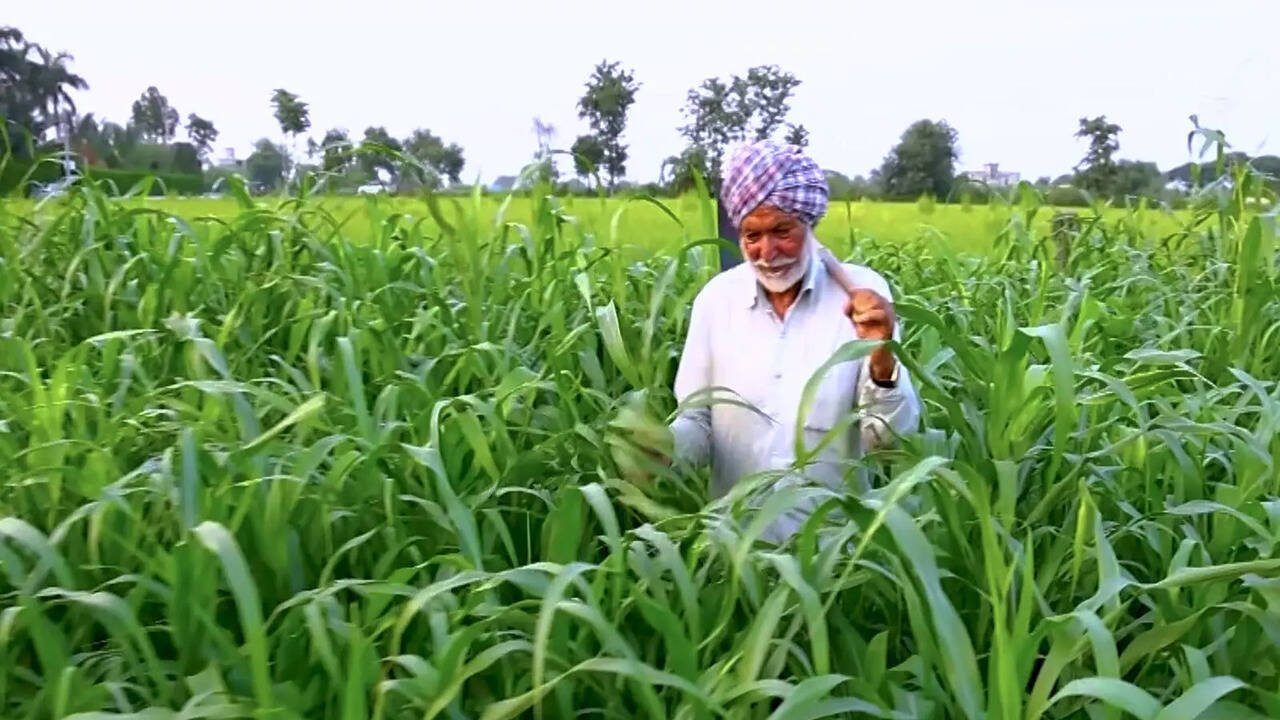 Farm loans with less paperwork? Centre explores digital land record link