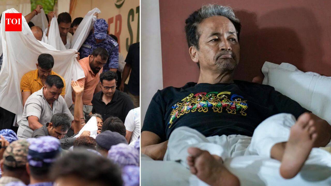 'Happened so fast that ... ': Protestors recount how police took away Sonam Wangchuk in 5 minutes