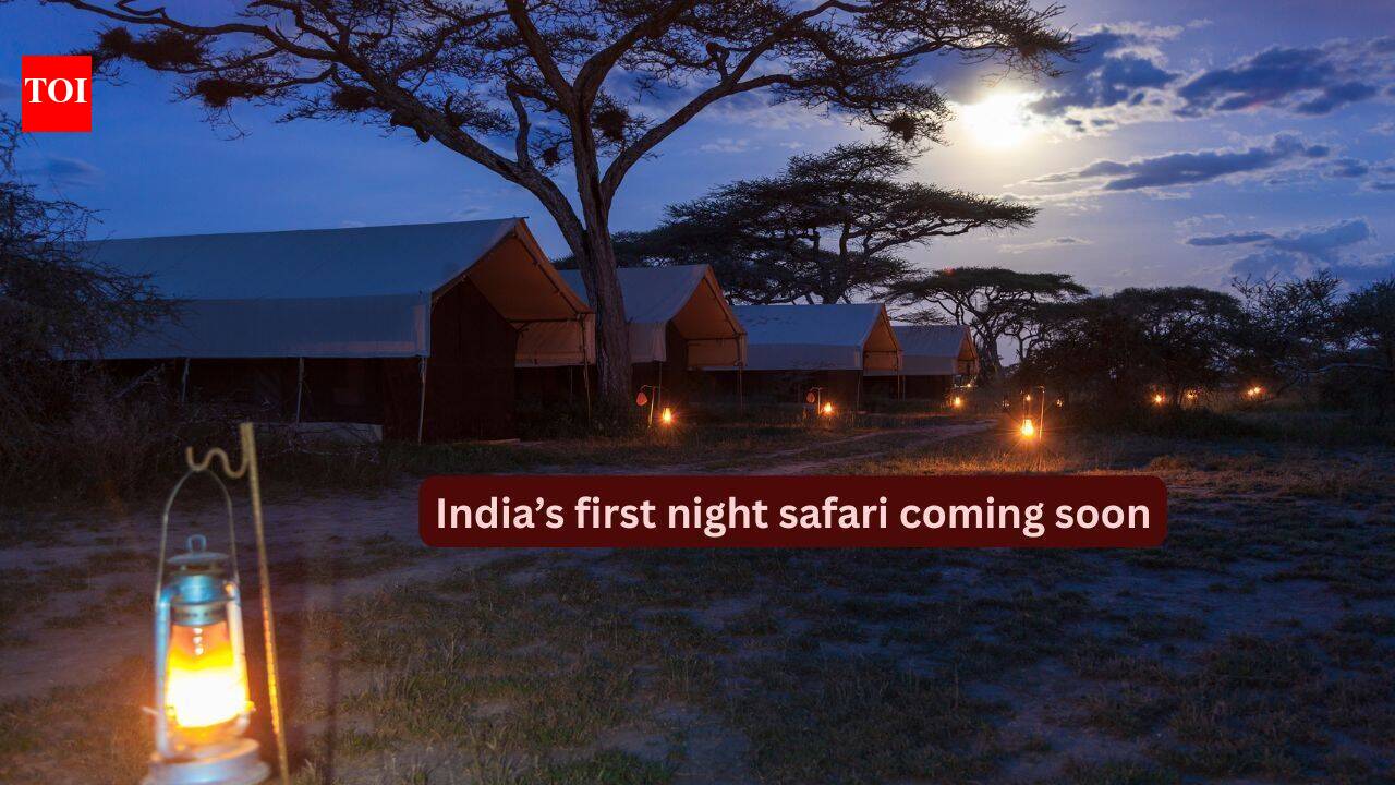 India’s first night safari coming soon to Lucknow’s Kukrail Forest; set to offer a one-of-a-kind wildlife experience