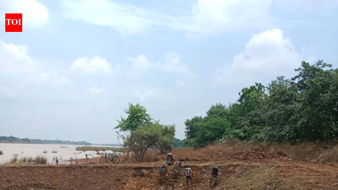 For Puja idol immersion, BMC preps up to dig ponds