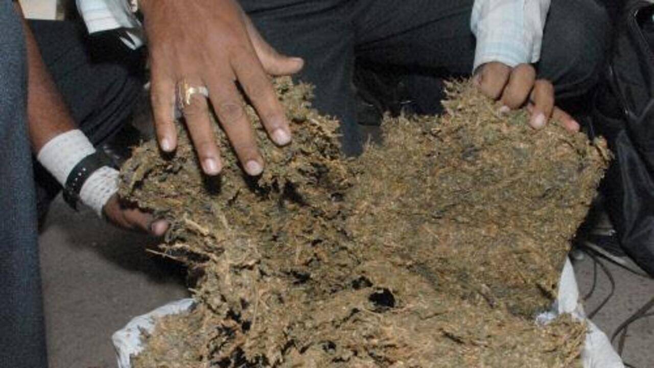 Three held with 8.6kg ganja worth Rs 4.3 lakh in Trichy