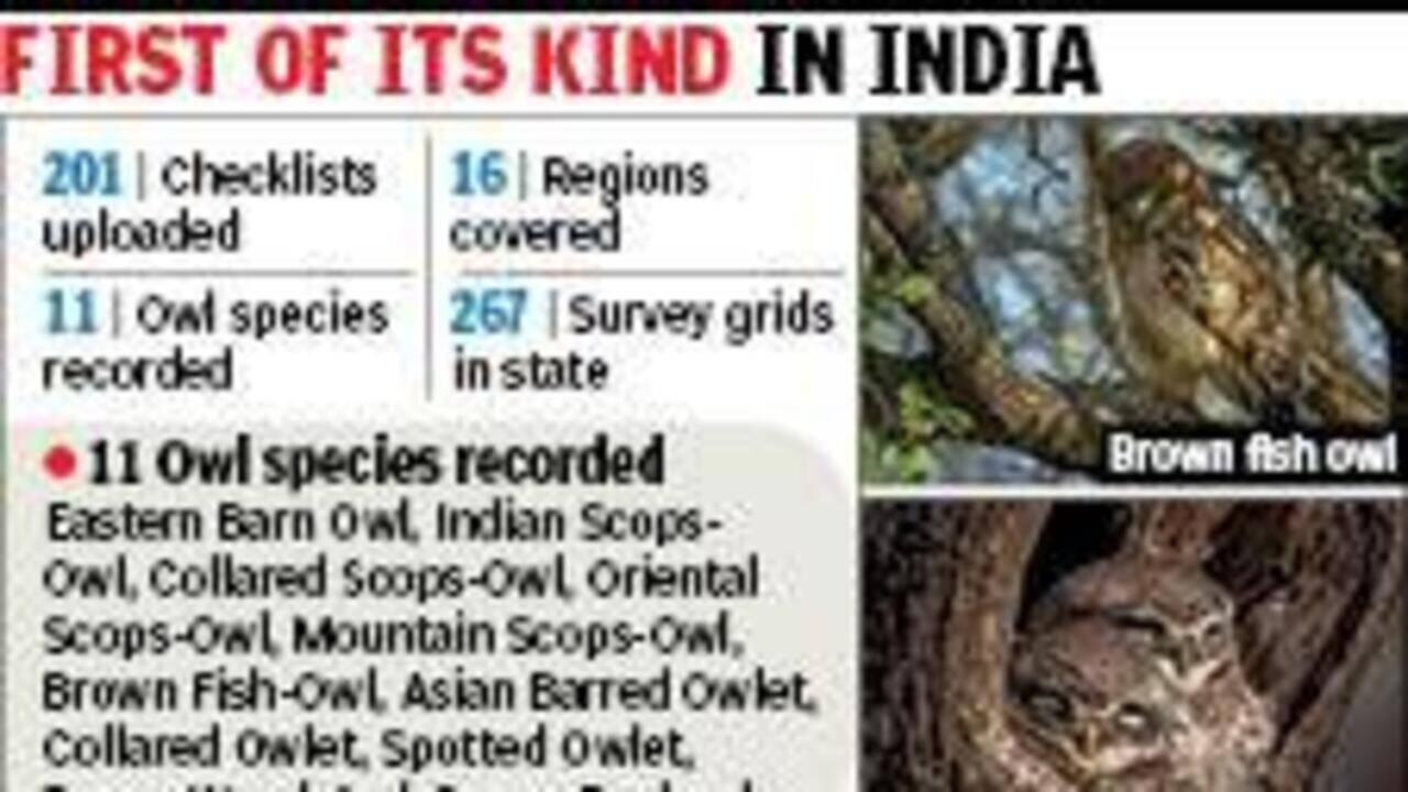 1st state-wide owl survey records 11 species across 13 dists in 4 months