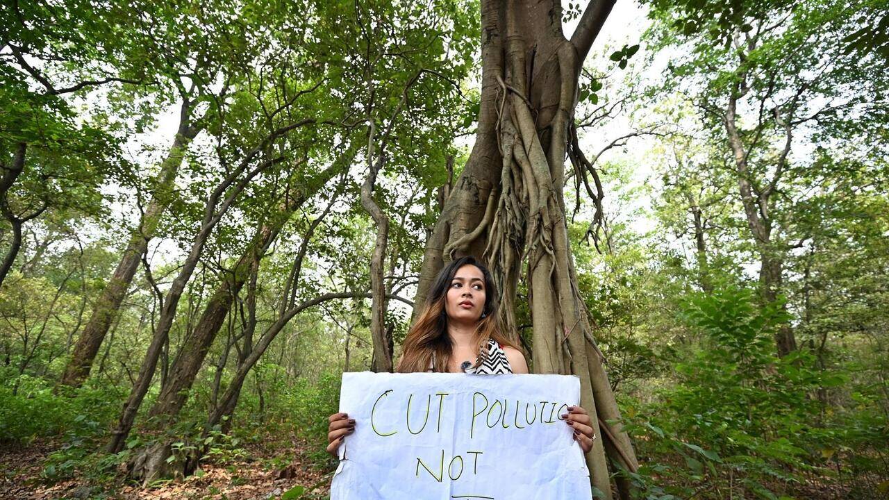 After week-long protests, Dhami halts tree felling on Rishikesh stretch; directs chief secy to ‘consult all stakeholders'