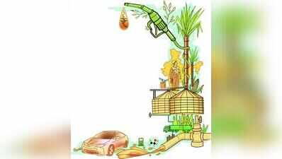 AAP raises E20 petrol concerns