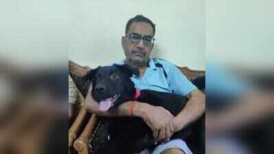 3 years after pet dog’s death, centre sealed over nazul land violations