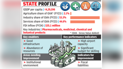 Goa tops city-states in Niti Aayog’s Investment Friendliness Index