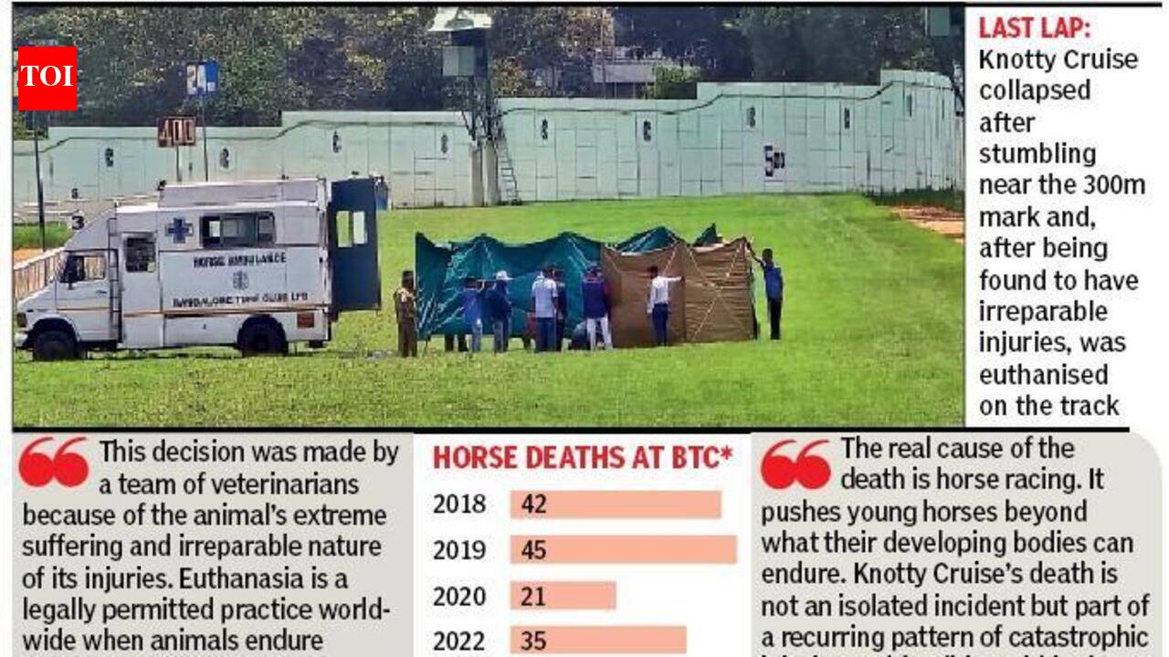 4-year-old racehorse euthanised at Bangalore Turf Club after irreparable leg injury