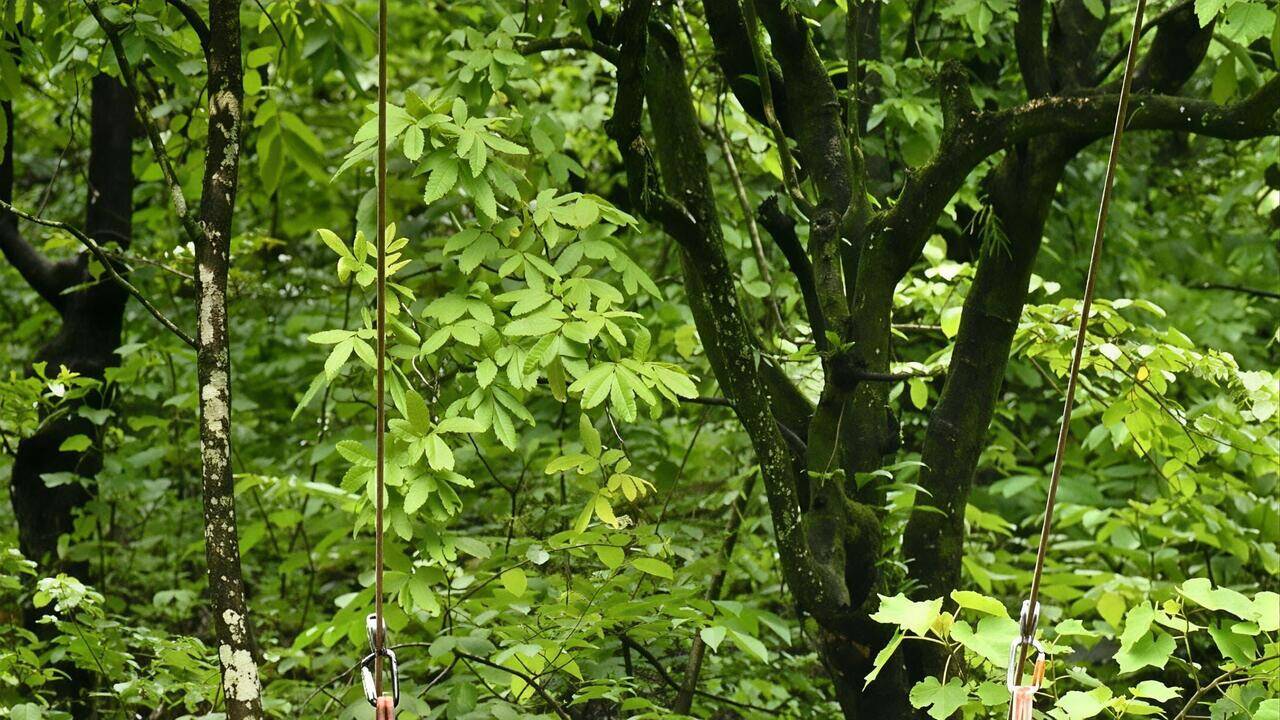 Abitkar inaugurates adventure sports facilities,  children’s park & souvenir shop at Savatkada waterfalls