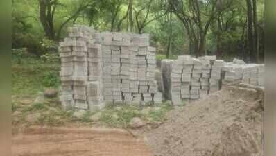 Weeks after a hill was flattened, fresh road work breaches Mangar Bani core
