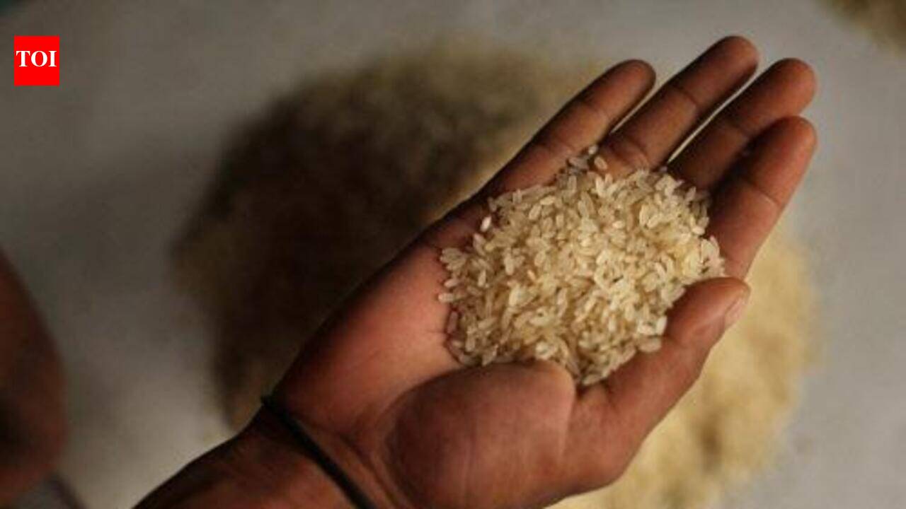 3 more held in MP fortified rice diversion case; arrests rise to 8