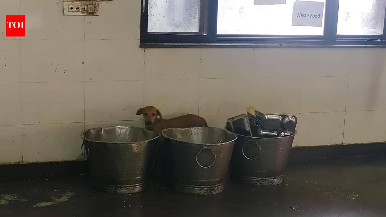 REALITY CHECK: MANIT hostels 9 & 11 slip into health, sanitation crisis