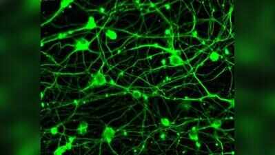 Plastic may harm kids’ ability to learn