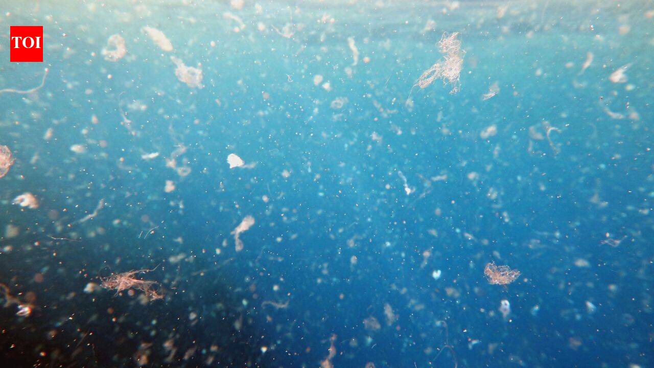 Tiny plastics in drinking water may help harmful bacteria thrive