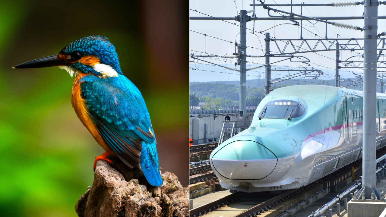 How a kingfisher's beak inspired Japan's bullet train and solved its tunnel boom problem