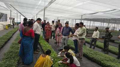 Gumla gets region’s largest grafted nursery, run by tribal women entrepreneurs